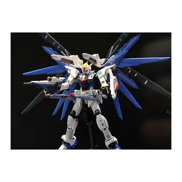 RG 1/144 Gundam SD: ZGMF-X10A Freedom Gundam (Plastic Model)